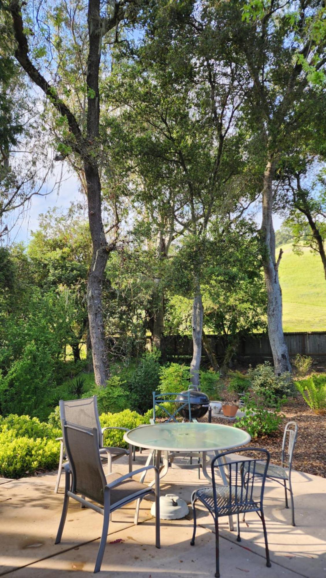 Amitabha Wine Country Cottage Santa Rosa Bagian luar foto