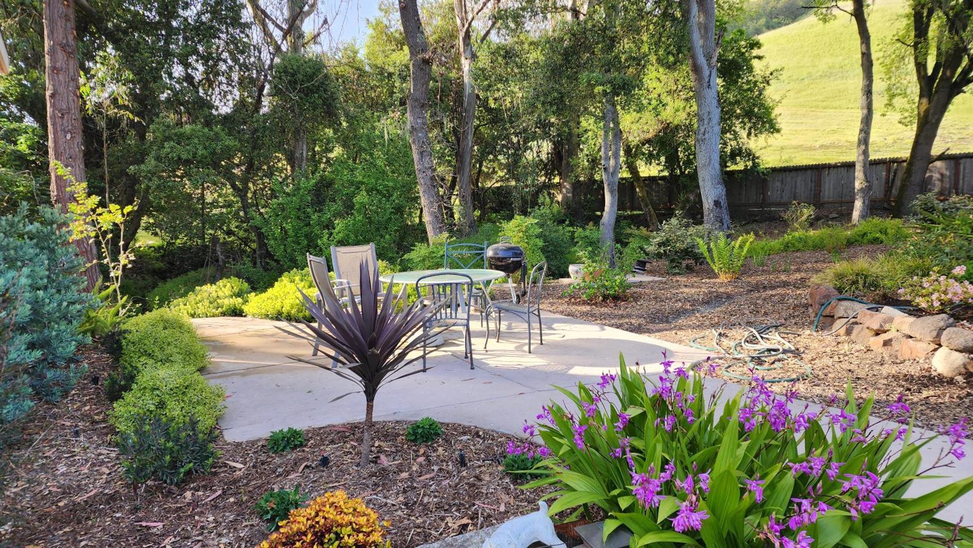 Amitabha Wine Country Cottage Santa Rosa Bagian luar foto