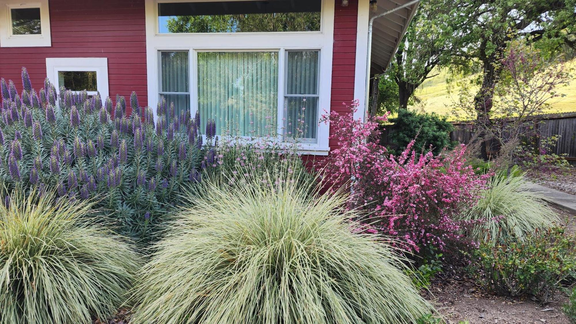 Amitabha Wine Country Cottage Santa Rosa Bagian luar foto